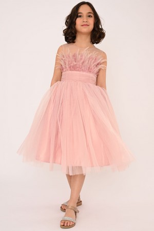 164-p فستان  سهره صيفي شبك ريش بالصدر لحمي 