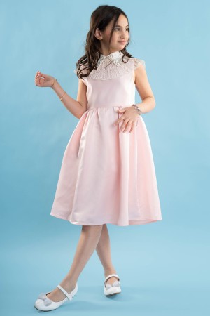 فستان لحمي كت بتصميم ياقة مطرزة بفخامة ملكية AN24101