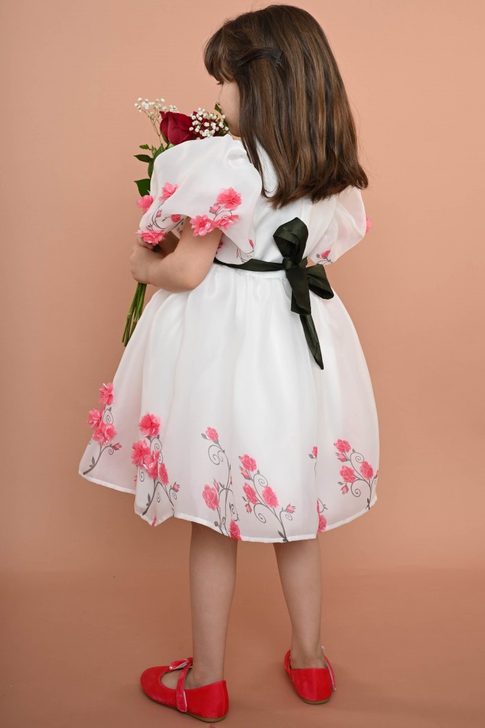 فستان أبيض ملكي مزين بورود حمراء وحزام زيتي - AN24224 من Biscoti بسكوتي – فساتين بناتي أنيقة وفخمة