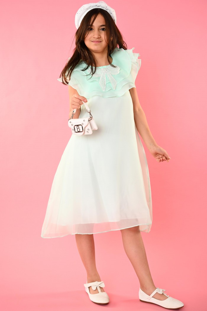 فستان تيفاني أنيق مزين بتطريز على الصدر – AN25015 من Biscoti بسكوتي – فساتين بناتي أنيقة وفخمة