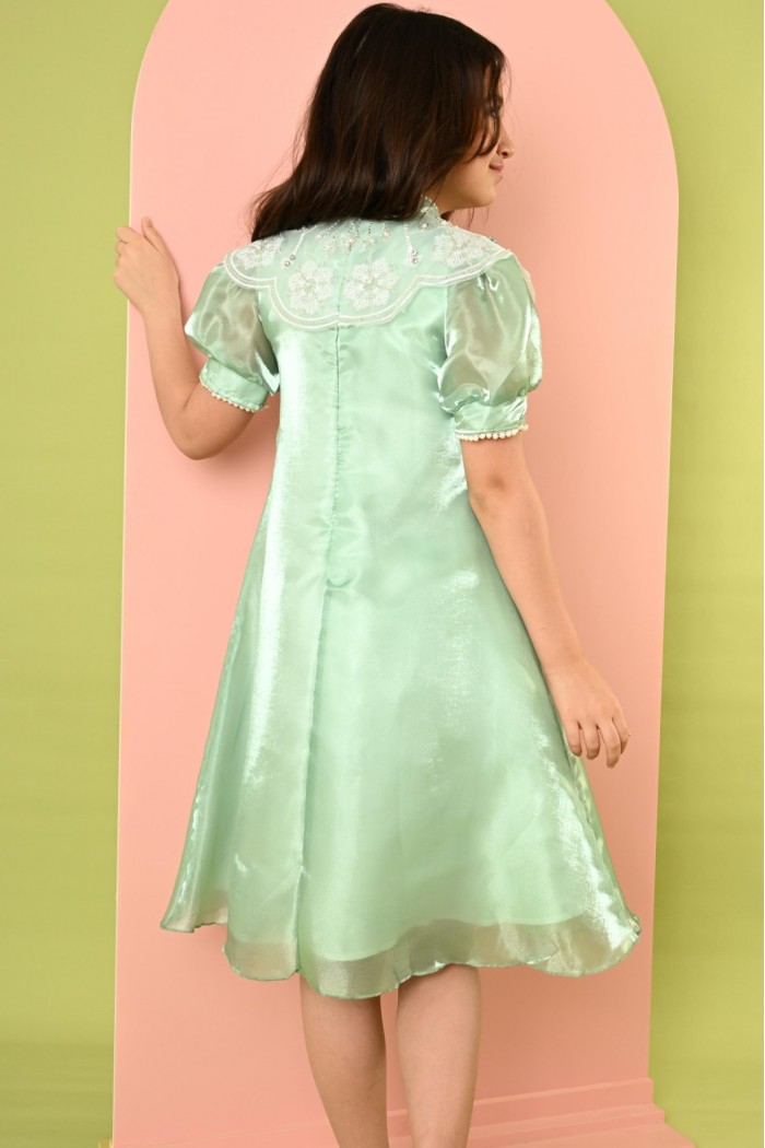 فستان بناتي اخضر لامع مع ياقة مطرزه بالورود AN24312 من Biscoti بسكوتي – فساتين بناتي أنيقة وفخمة