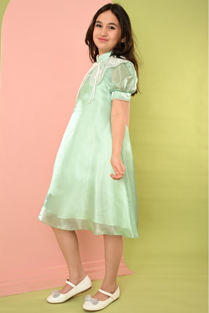 فستان بناتي اخضر لامع مع ياقة مطرزه بالورود AN24312 من Biscoti بسكوتي – فساتين بناتي أنيقة وفخمة