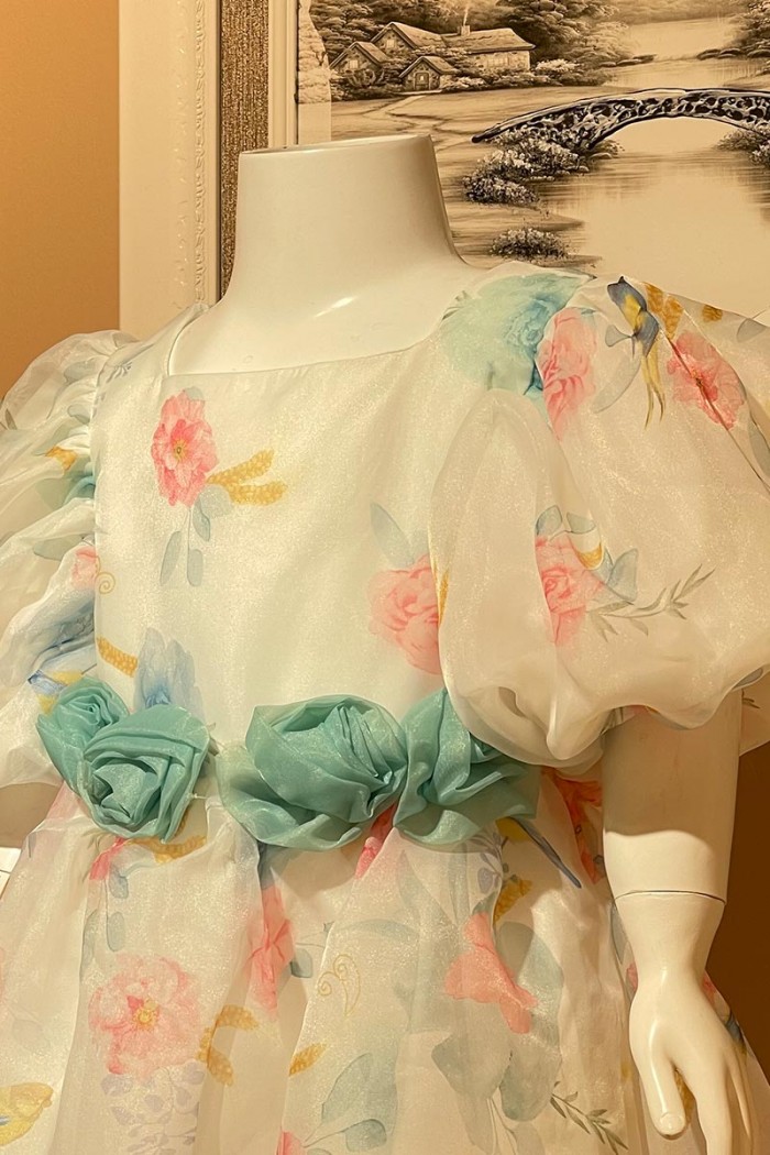 فستان بتصميم ساحر مع ورود تيفاني من الامام AN24004 من Biscoti بسكوتي – فساتين بناتي أنيقة وفخمة